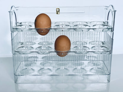 Organizador para Huevos 🥚