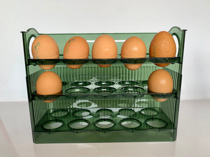 Organizador para Huevos 🥚