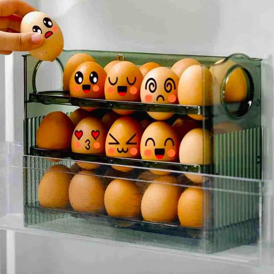 Organizador para Huevos 🥚